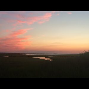 Meet your Posher, Abigail